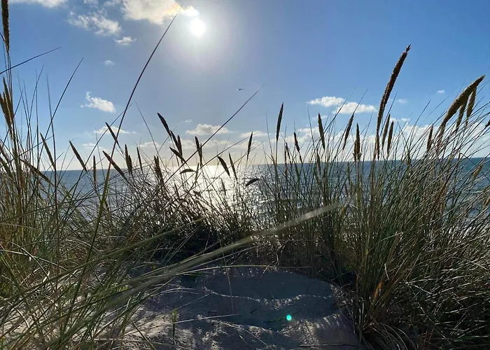 Prázdninový dům 40082-ulfborg-helmklit-276